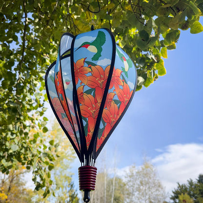 Hot Air Balloon