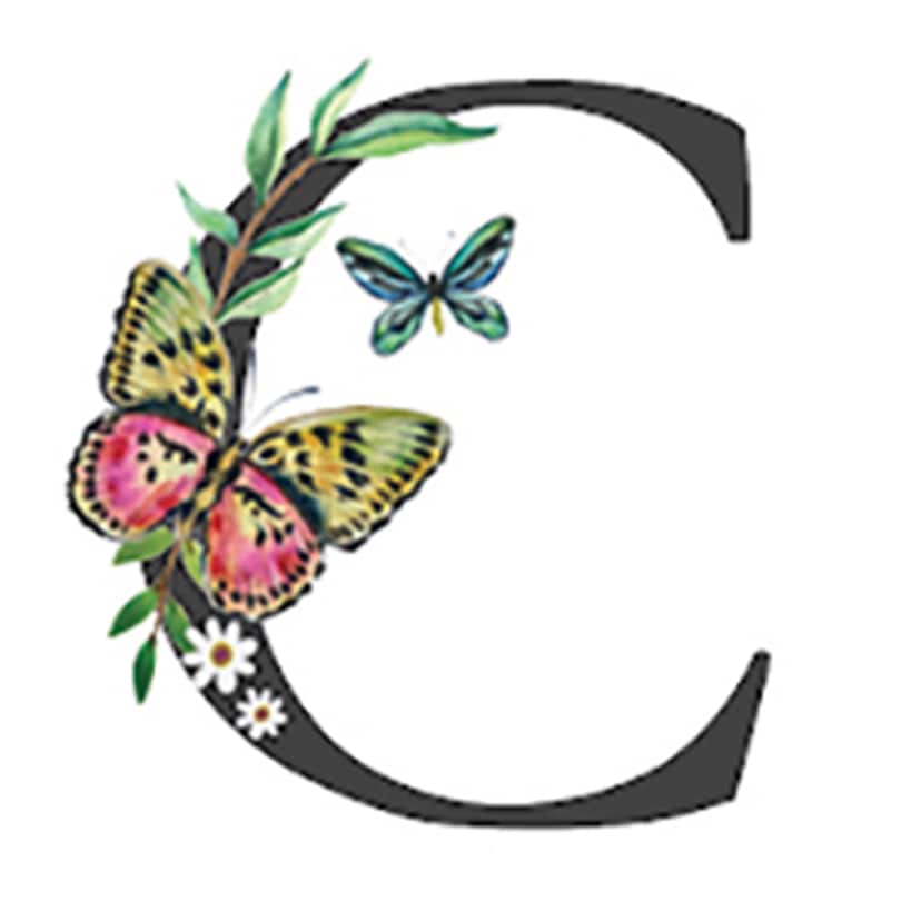 Initial Floral Butterfly Jewelry Cases