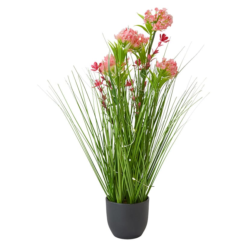 Lighted Flower Indoor Potted Plant