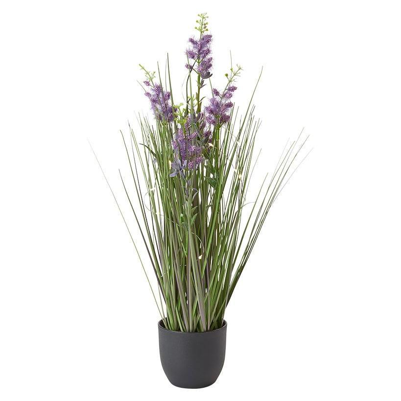 Lighted Flower Indoor Potted Plant