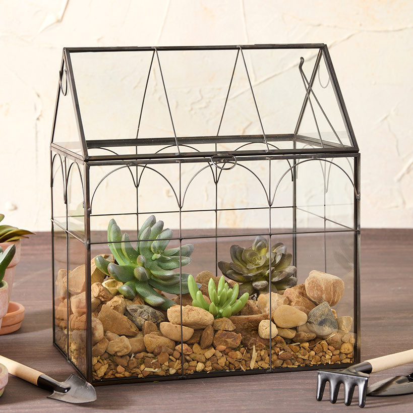 Glass And Metal Garden Terrarium