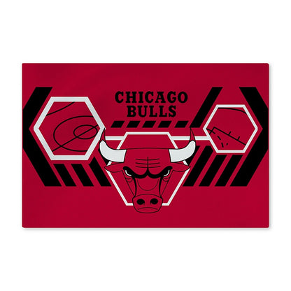 NBA Agile Washable Rug
