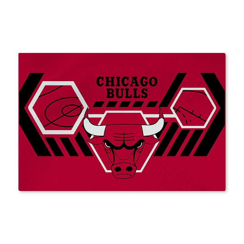 NBA Agile Washable Rug