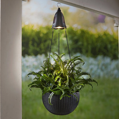 Hanging Basket Planter with Solar Light