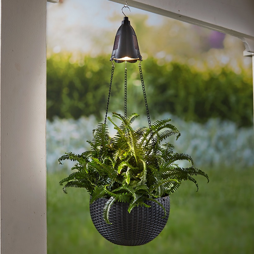 Hanging Basket Planter with Solar Light