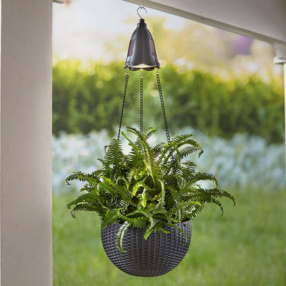 Hanging Basket Planter with Solar Light