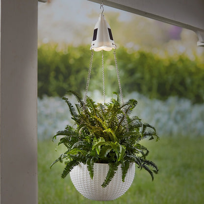 Hanging Basket Planter with Solar Light