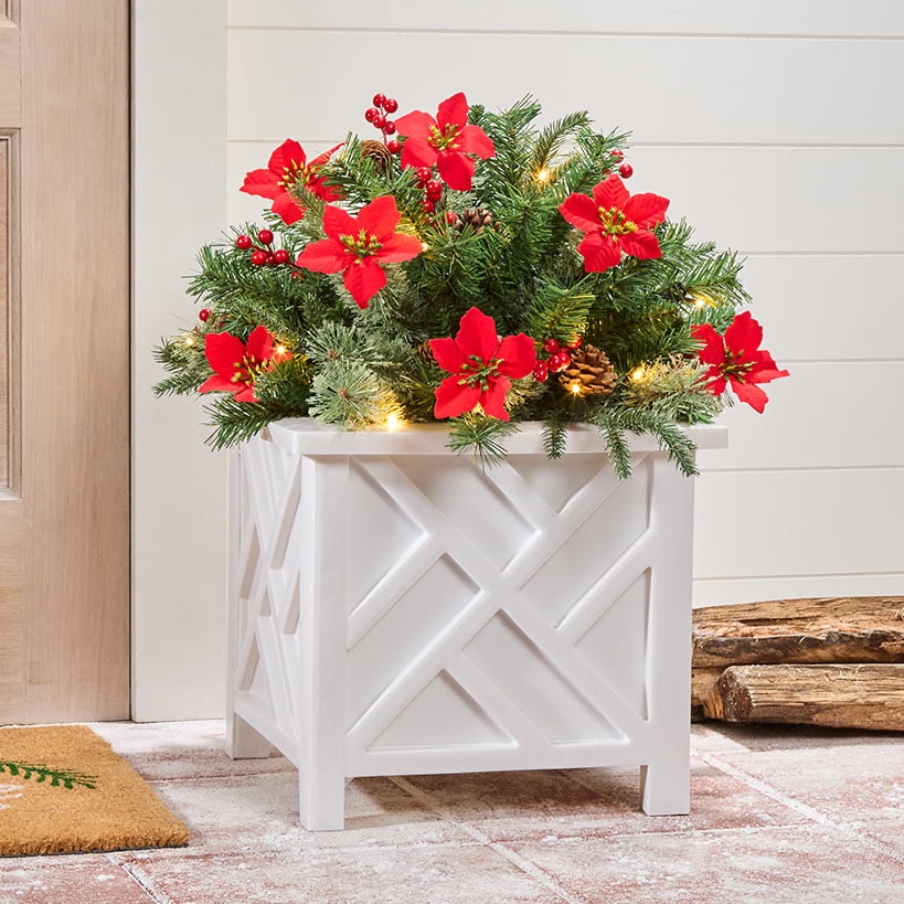 Lighted Poinsettia Greenery - Garland or Wreath