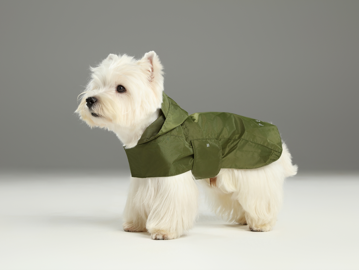 Capsule Raincoat - Green