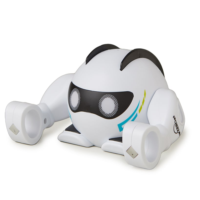 Smart Rolling Robot