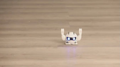 Smart Rolling Robot