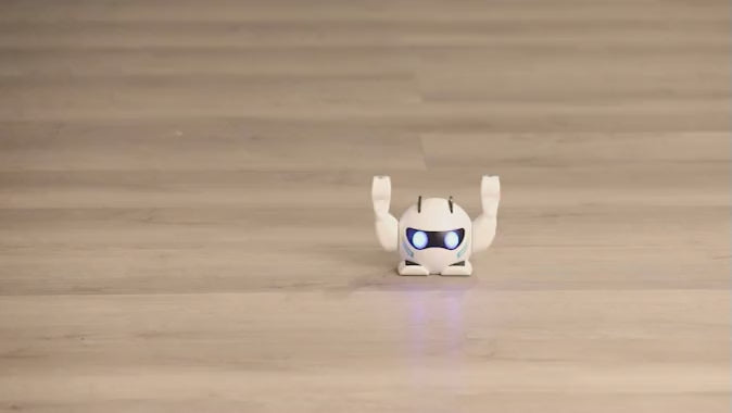Smart Rolling Robot