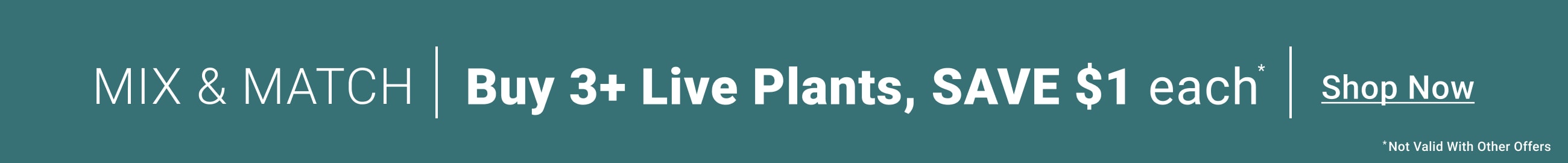 Buy 3+ Live Plants, Save $1 Each - Shop Now