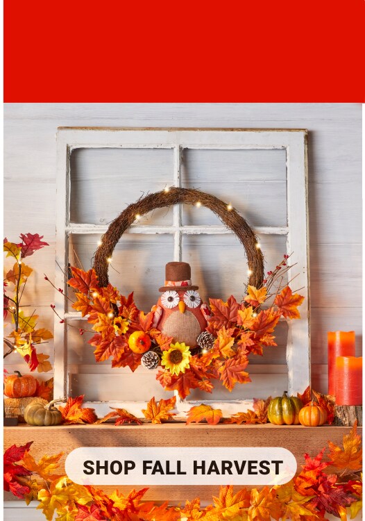 40% Off All Fall Harvest and Halloween. Shop Now