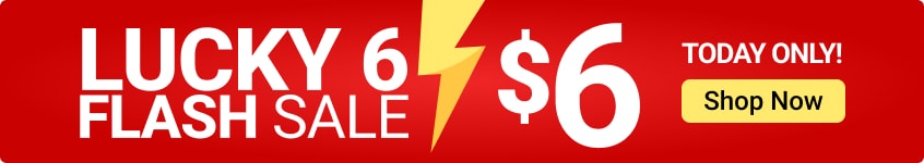 Shop $6 Flash sale